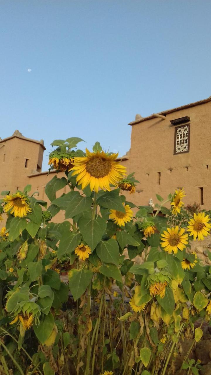 Kasbah Izoran Hotel Midelt Bagian luar foto