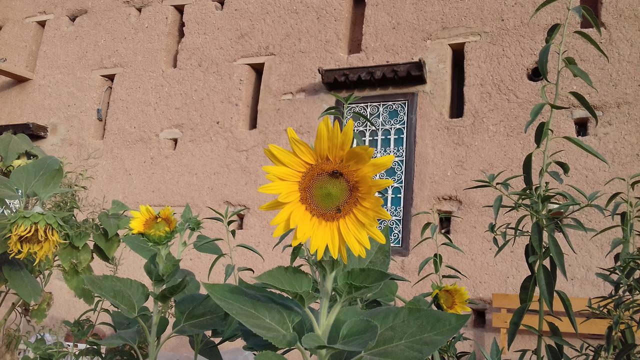 Kasbah Izoran Hotel Midelt Bagian luar foto