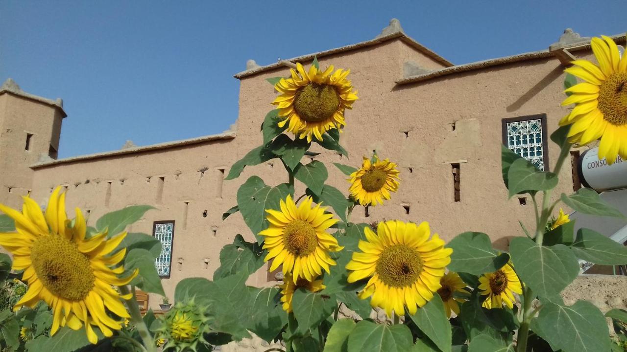Kasbah Izoran Hotel Midelt Bagian luar foto