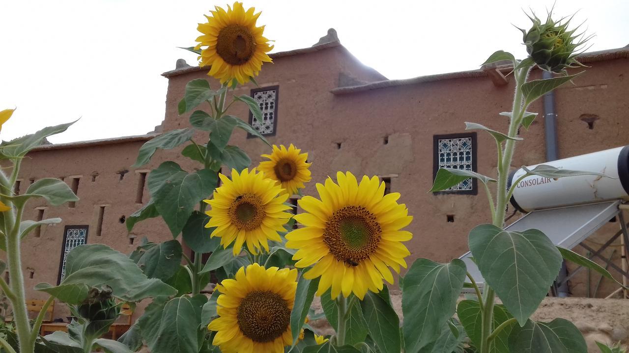 Kasbah Izoran Hotel Midelt Bagian luar foto