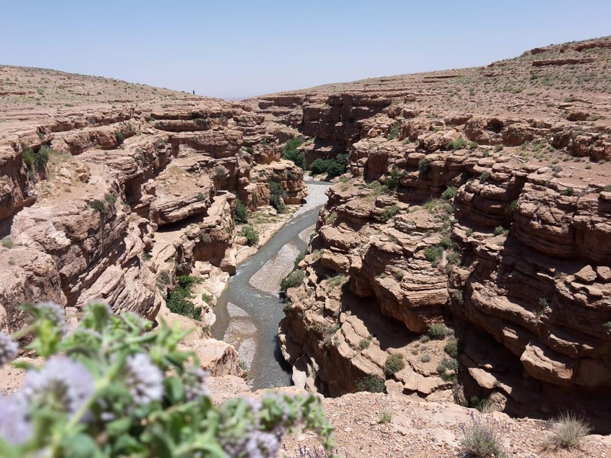 Kasbah Izoran Hotel Midelt Bagian luar foto